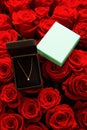 Turquoise gift wrap with a diamond on a chain on a large bouquet of red roses, Valentine`s day card.