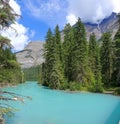 Mount Robson Provincial Park Floodwaters of Glacial Robson River at Kinney Lake on Hot Summer Day, British Columbia, Canada Royalty Free Stock Photo