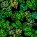 Turquoise and green tropical leaves. Seamless graphic design with amazing palms. Fashion, interior, wrapping, packaging suitable.