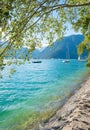 Turquoise lake Achensee with sailboats, hanging branches of a birch tree with green leaves