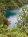 Turquoise Lake in Chiapas Royalty Free Stock Photo