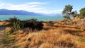 Colorful Lake tekapo in new zeeland Royalty Free Stock Photo