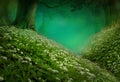 Fairytale forest landscape with two green hills full of white wild flowers Royalty Free Stock Photo