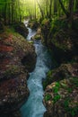 Turquoise Mostnica river in the narrow gorge, Stara Fuzina, Slovenia