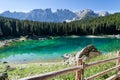 Turquoise mountain lake with a railing in the middle of the forest and high mountains in the background Royalty Free Stock Photo