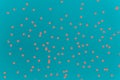 Turquoise multipurpose background with coral star shaped confetti accents. Festive concept