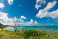 Turquoise ocean and green shrubs at a viewpoint on the coastline of the Caribbean island Antigua