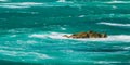 Turquoise ocean with rough water, waves and a rock protruding above the water Royalty Free Stock Photo