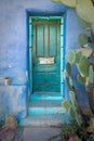 Turquoise Painted Door with Cactus in the Southwest Royalty Free Stock Photo