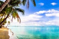 Turquoise palm beach by Phu quoc island in Vietnam Royalty Free Stock Photo