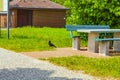 Turquoise park bench in nature at rest stop in Germany Royalty Free Stock Photo