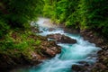 Turquoise Radovna river in the fresh green forest, Slovenia Royalty Free Stock Photo