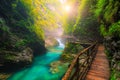 Turquoise Radovna river in Vintgar gorge and wooden footbridge, Slovenia