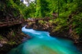 Turquoise Radovna river in Vintgar gorge and wooden footbridge, Slovenia