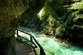 Turquoise Radovna river with wooden path, trees and rock