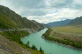 The turquoise river of the Katun in the mountains of the Altai a Royalty Free Stock Photo