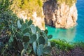 Turquoise sea water of Mediterranean sea. Beautiful emerald green watercolor. Shiny clear ocean water. Transparent