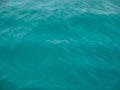 Turquoise sea wave splashing overboard