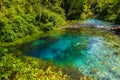 Turquoise spring Blue Eye - Syri i Kalter, near a town of Muzine, Albania. Royalty Free Stock Photo