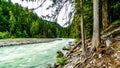 The turquoise water of the Lillooet River Royalty Free Stock Photo