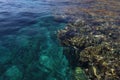 Turquoise water and multi-colored corals of the Red Sea Royalty Free Stock Photo