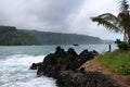 Volcanic rocky shoreline meeting the Pacific Ocean with tropical rainforest covering cliffs in the background in Maui, Hawaii