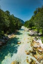 Turquoise water in Soca river, Slovenia Royalty Free Stock Photo