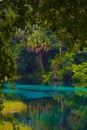 Rainy day at Rainbow Springs State Park in Florida