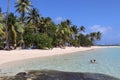 Sainte Anne La Caravelle Beach Guadeloupe Island Caribbean French West Indies