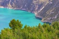 Pine Tree Forest, Quilotoa Lake, Ecuador Royalty Free Stock Photo