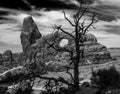 Turret Arch Royalty Free Stock Photo