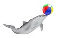 Tursiops Truncatus Ocean or Sea Bottlenose Dolphin with Colorful Beach Ball. 3d Rendering Royalty Free Stock Photo