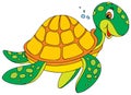 Turtle Royalty Free Stock Photo