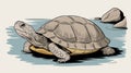 Turtle against an isolated background, showcasing its detailed shell and gentle demeanor in a simple, minimalistic environmen...