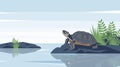 Turtle against an isolated background, showcasing its detailed shell and gentle demeanor in a simple, minimalistic environmen...