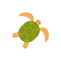 Turtle animal cartoon australia icon on white background