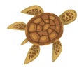 Turtle Animal, Marine Life Element, Sea or Ocean Creature Vector Illustration