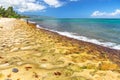 Turtle Beach Oahu Royalty Free Stock Photo