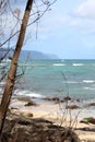 Turtle Beach in Tropical North Shore Oahu, Hawaii Royalty Free Stock Photo