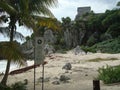 Turtle Beach in Tulum Mexico Royalty Free Stock Photo