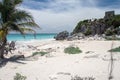 Turtle Beach Tulum Yucatan Peninsula Mexico Royalty Free Stock Photo