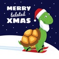 Turtle belated christmas