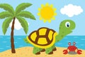 Turtle with cancer on the beach