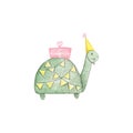 Turtle in a cap with present and party flags. Happy Birthday watercolor card on white background