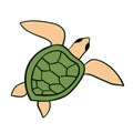 Turtle cartoon drawn by hand isolated on white background. Digital painting doodle style Royalty Free Stock Photo