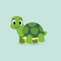 Turtle cartoon flat style.Cute green turtle character Royalty Free Stock Photo