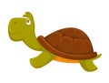 Turtle cartoon pet vector flat icon Royalty Free Stock Photo