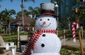 SNOW MAN WITH TOP HAT CHRISTMAN CELEBRATION Royalty Free Stock Photo