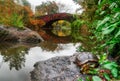 Turtle in central park. Autumn landscape in Central Park. Gapstow bridge, New York City, USA Royalty Free Stock Photo