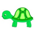 Turtle character vector